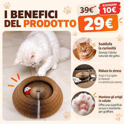🐱 Tiragraffi Interattivo Trasformabile con Pista e Pallina