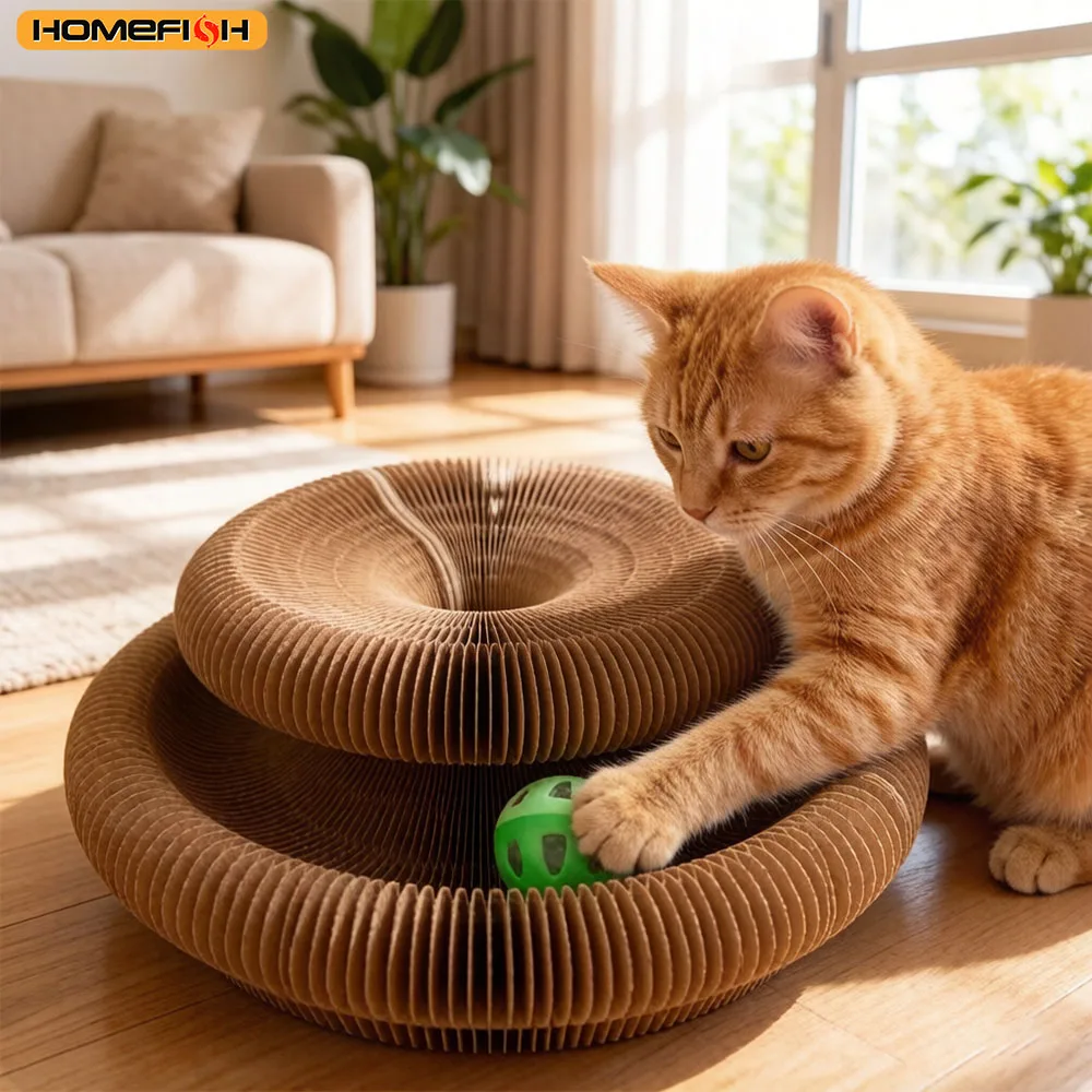 🐱 Tiragraffi Interattivo Trasformabile con Pista e Pallina