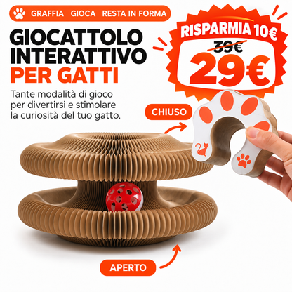 🐱 Tiragraffi Interattivo Trasformabile con Pista e Pallina